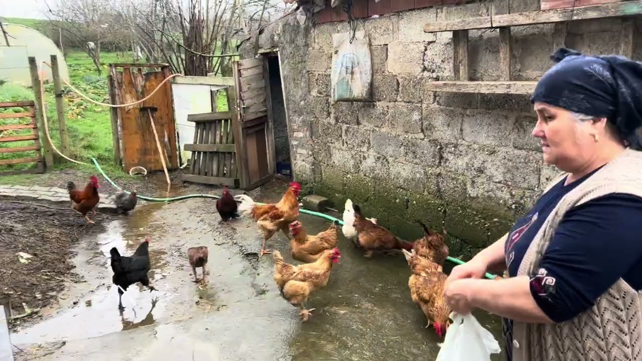 Hepınızı yok edeceğim😨Anam yine serzenişte🤷🏻‍♂️Kokaksuya geldim #vlog #sitem #viral #viralvideo 