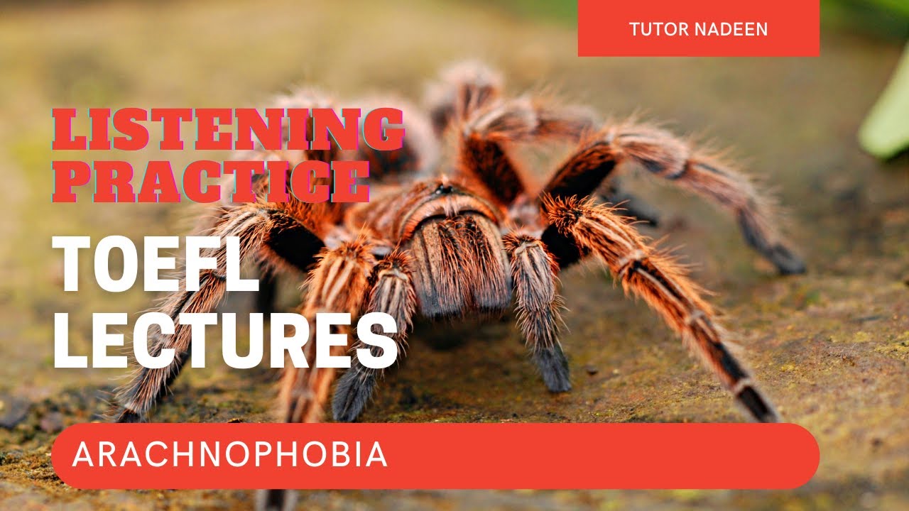 Практика аудирования TOEFL | Лекция | Арахнофобия