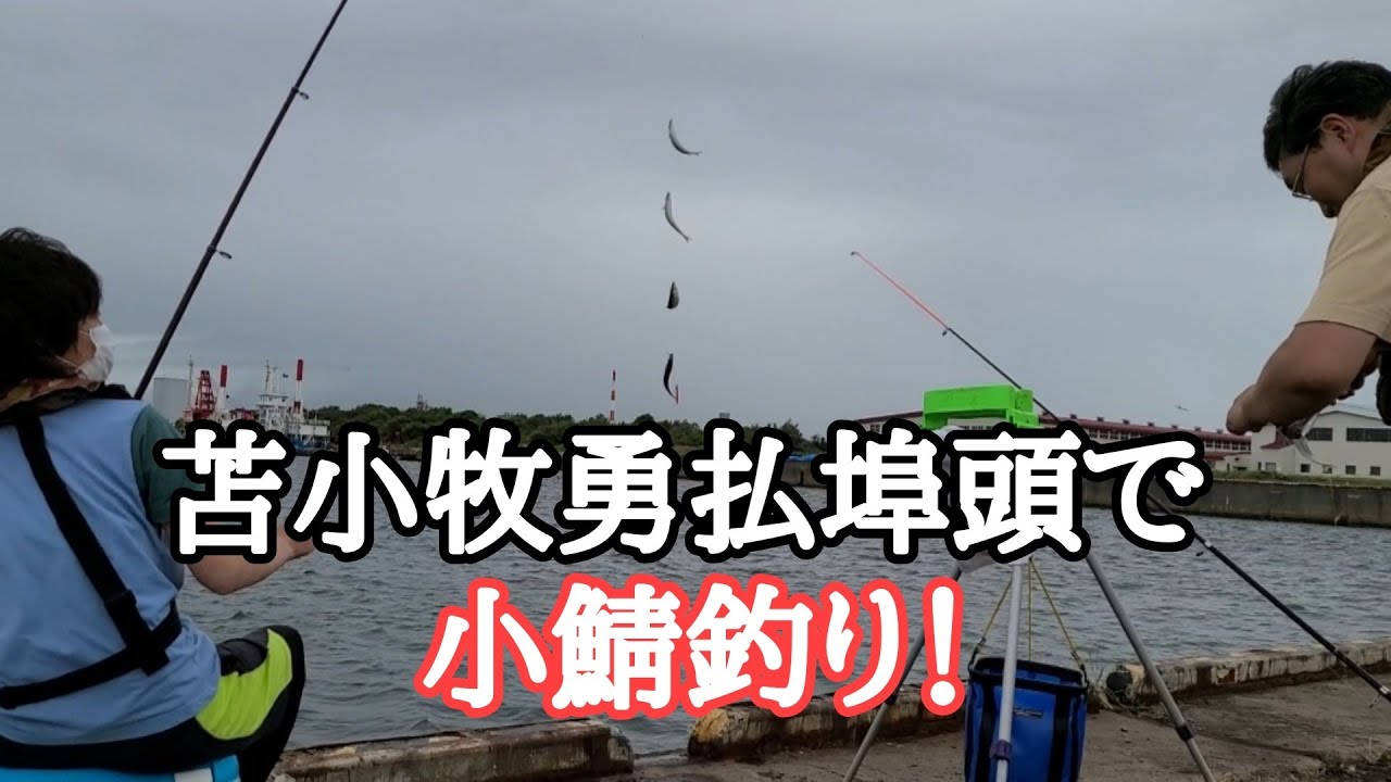 苫小牧勇払埠頭でサバ釣り！