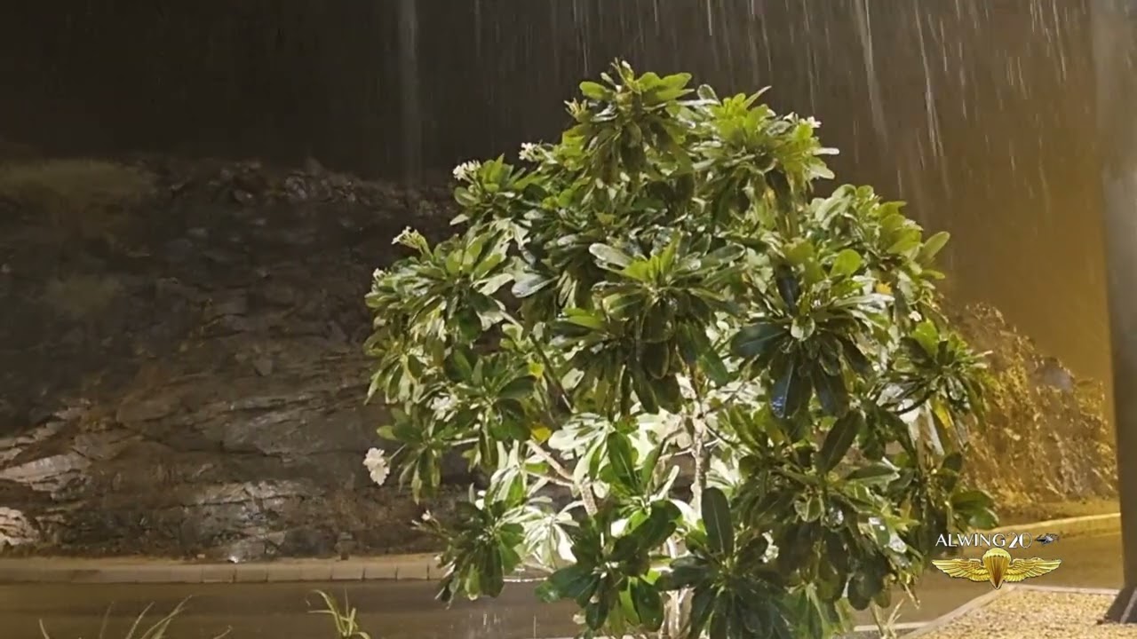 أمطار غزيره على جنوب المملكة العربية السعودية محايل عسير باقي القنفذة 6 أغسطس 2022