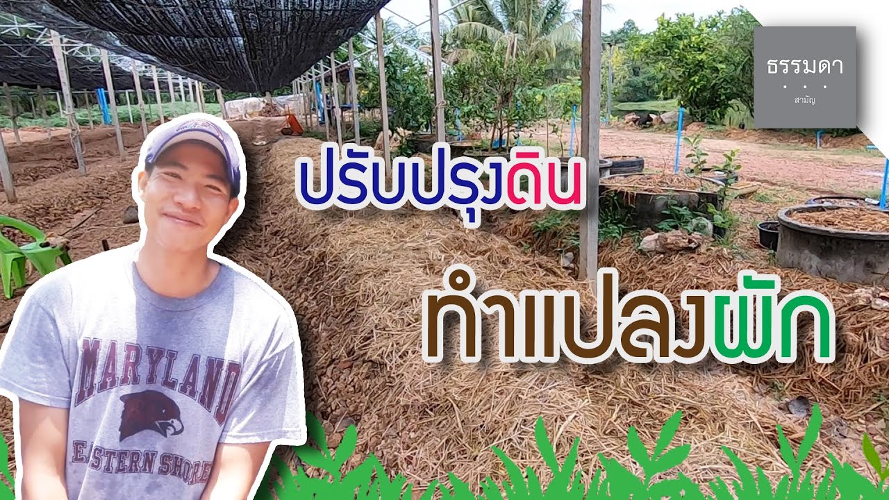 ปรับปรุงดินทำแปลงผัก | เปลี่ยนดินลูกรังให้เป็นดินร่วนซุย