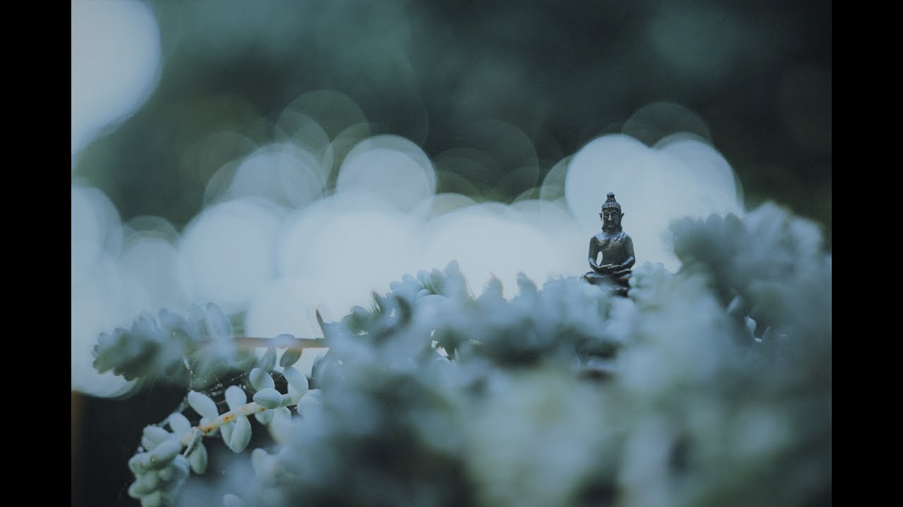 Calming Breath | Emotions, Fascia & the Physical Body | Nyle MacFarlane, OT