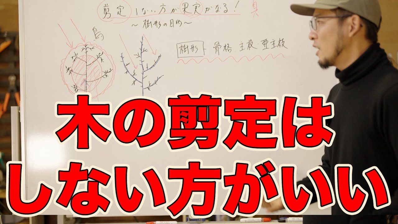 【剪定基礎講座2025-②】剪定しない方が果実がなる(ｳﾒ.ﾓﾓ.ｽﾓﾓ.ﾘﾝｺﾞ.ﾅｼ.ﾐｶﾝ.ﾋﾞﾜ.ｶﾝｷﾂ.ﾌﾞﾙｰﾍﾞﾘｰ.ﾌﾞﾄﾞｳ.ｲﾁｼﾞｸ.ｷｳｲ.ｵﾘｰﾌﾞ.ｻｸﾗﾝﾎﾞ他)