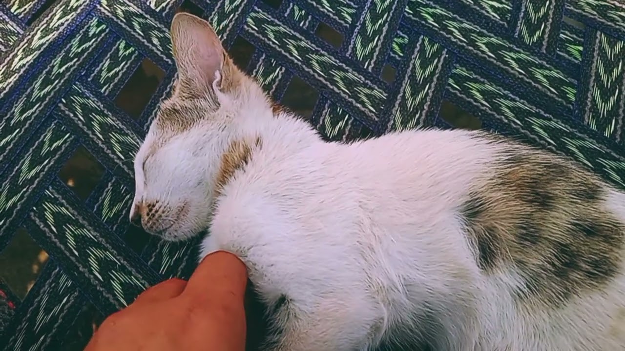 How to pretend being Aloof