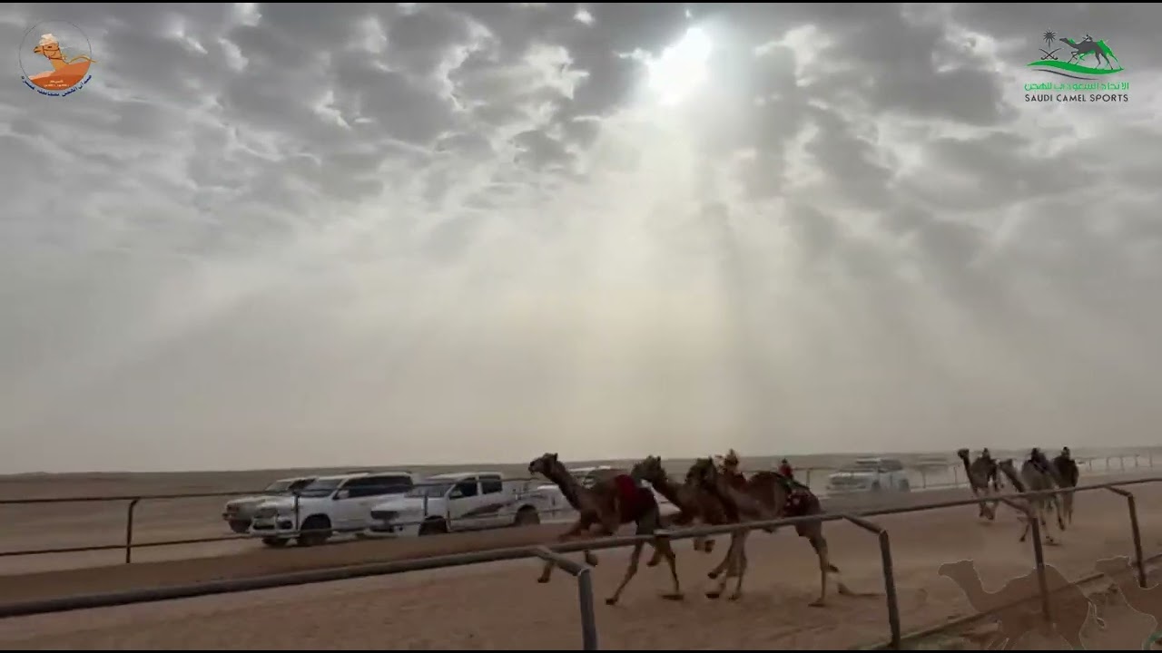 الشوط الاول قعدان حقايق /  النايد محمد وليد العنزي