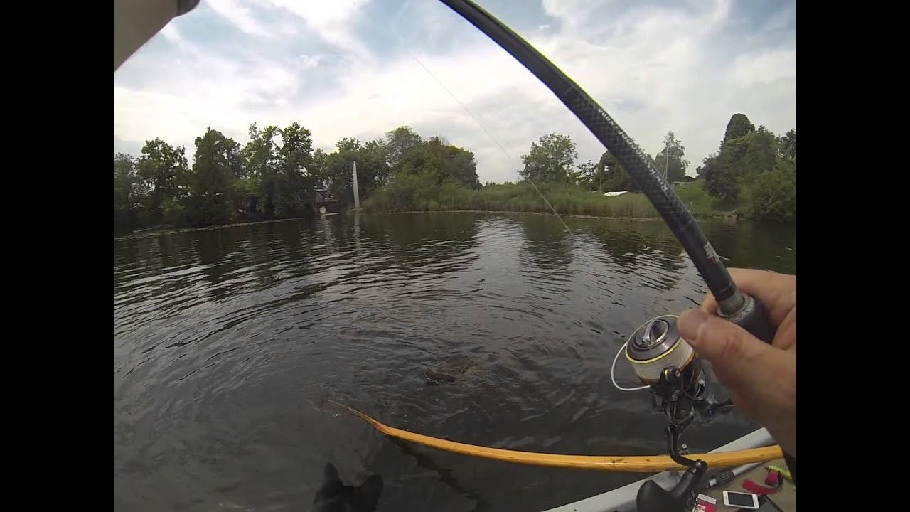 Staffelsee 20 07 2014