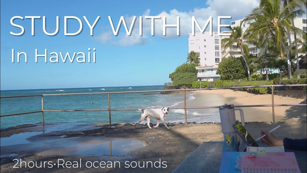 Study With Me Hawaii 🌊 | 2 Hours Ocean view and Sounds | Sunrise to Sunset | No talking|