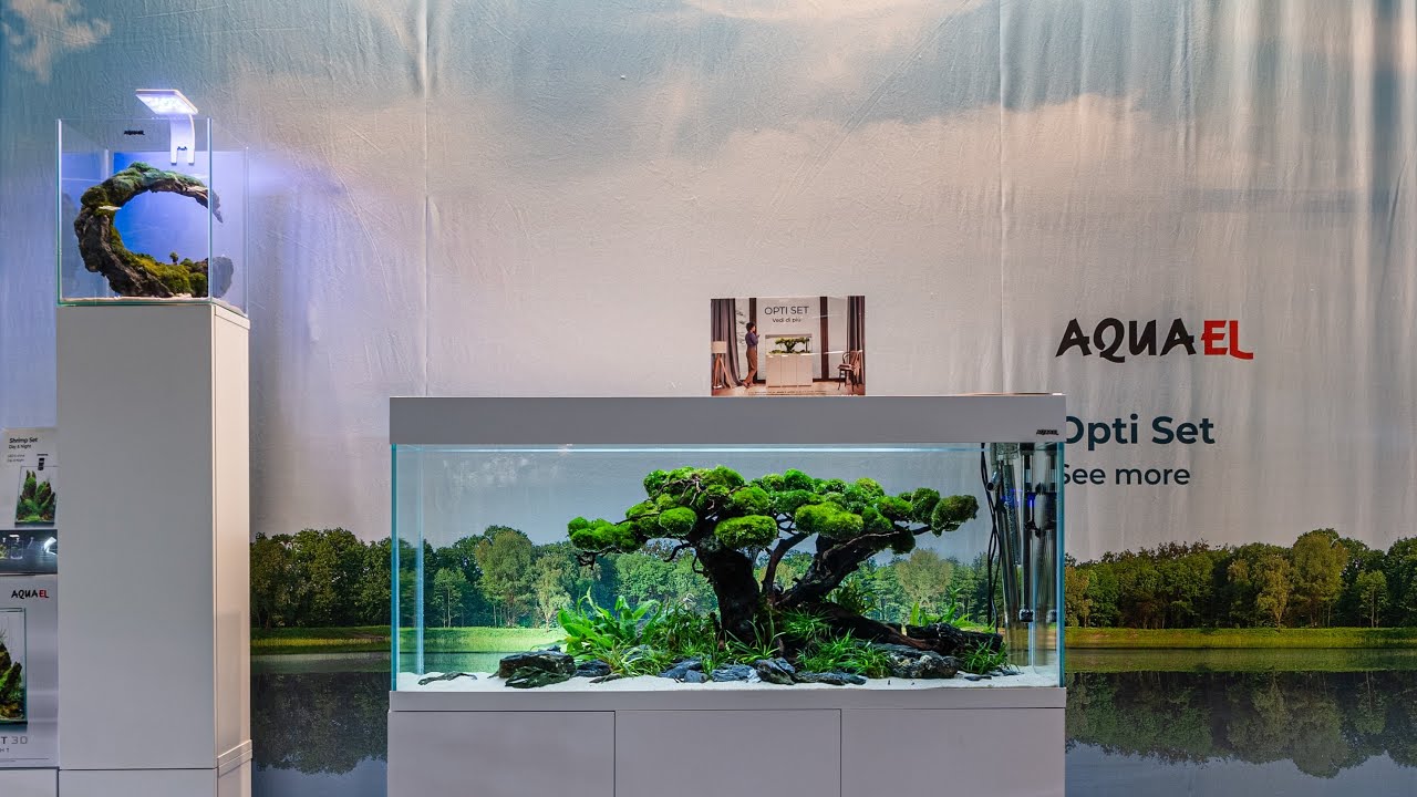 PIĘKNE AKWARIA NA TARGACH ZOOLOGICZNYCH ZOOMARK BOLONIA 2021
