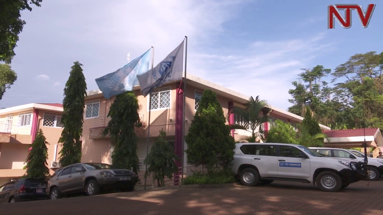 UN Refugee Agency to investigate its employees over sex trafficking allegations