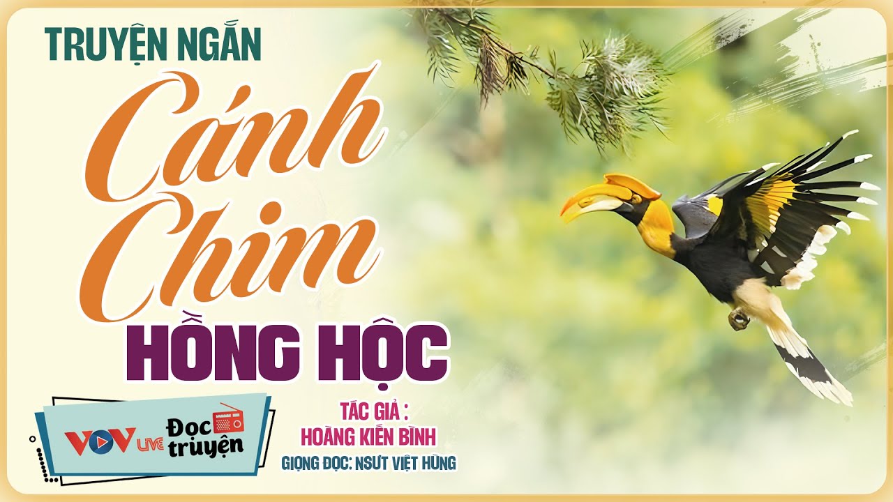 30 Phút Đọc Truyện Đêm Khuya VOV Nghe Là Ngủ | Cánh Chim Hồng Hộc - TG: Hoàng Kiến Bình