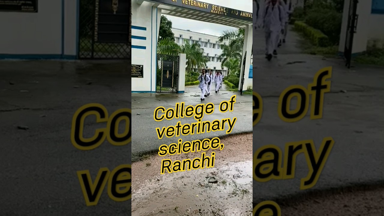 ||Ranchi_Veterinary_college ||veterinarian||college_life||BAU ||RVC|| #birsaagricultureuniversity