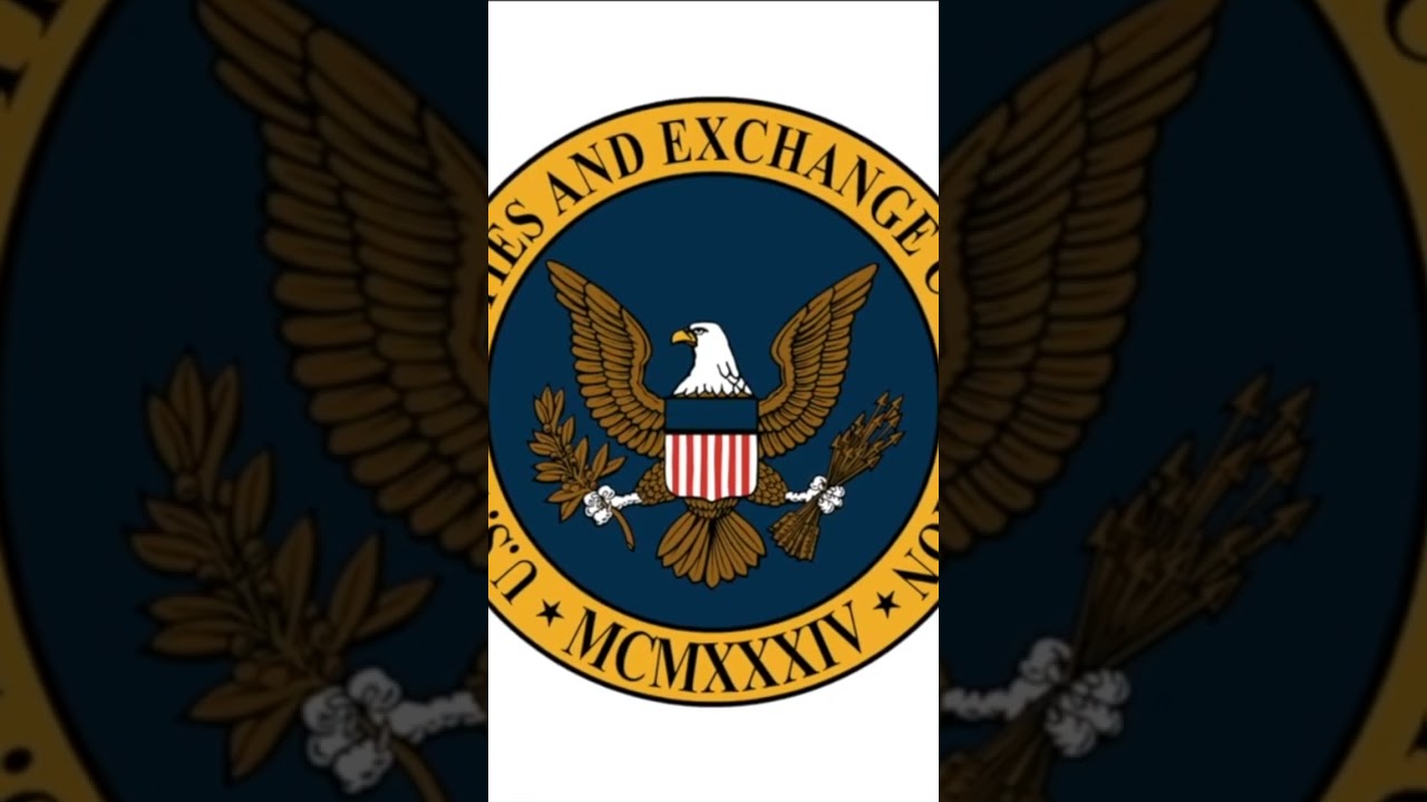 SEC - Securities And Exchange Commission Explained | Investing 101