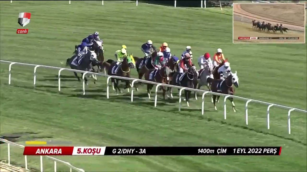 ''DENİZ EFE'' & ''DERYA ATEŞİ'' ZEVKLİ M&Uuml;CADELESİ (G 2 -TİGEM KOŞUSU 01.09.2022)