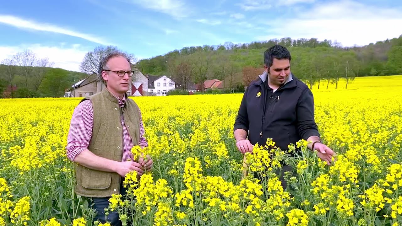 Rapsprofis aus der Praxis - zu Gast bei Thinus Glitz in Ostwestfalen Teil 2