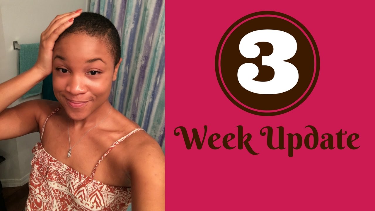 3 Week Big Chop Update
