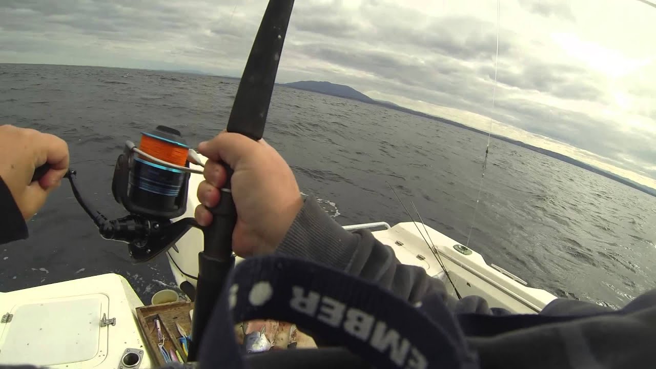 Fishing Off Montague Island at Bermagui