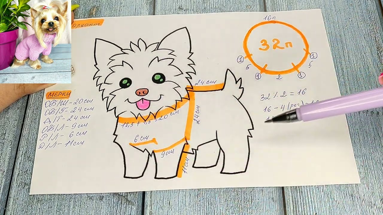 Мастер-класс: Расчет петель для вязания крючком одежды для собак с регланом