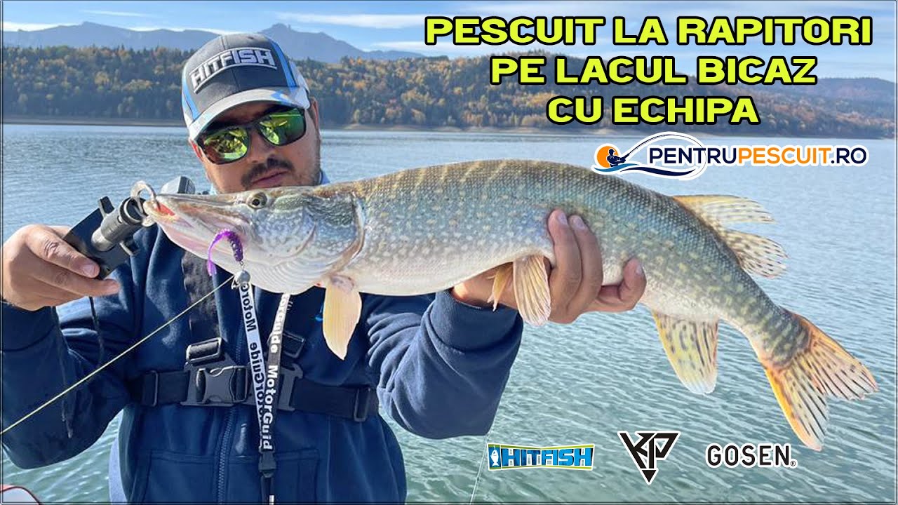 Pescuit la rapitor pe lacul Bicaz, Octombrie 2022 cu echipa PentruPescuit: bibann, salau si stiuca
