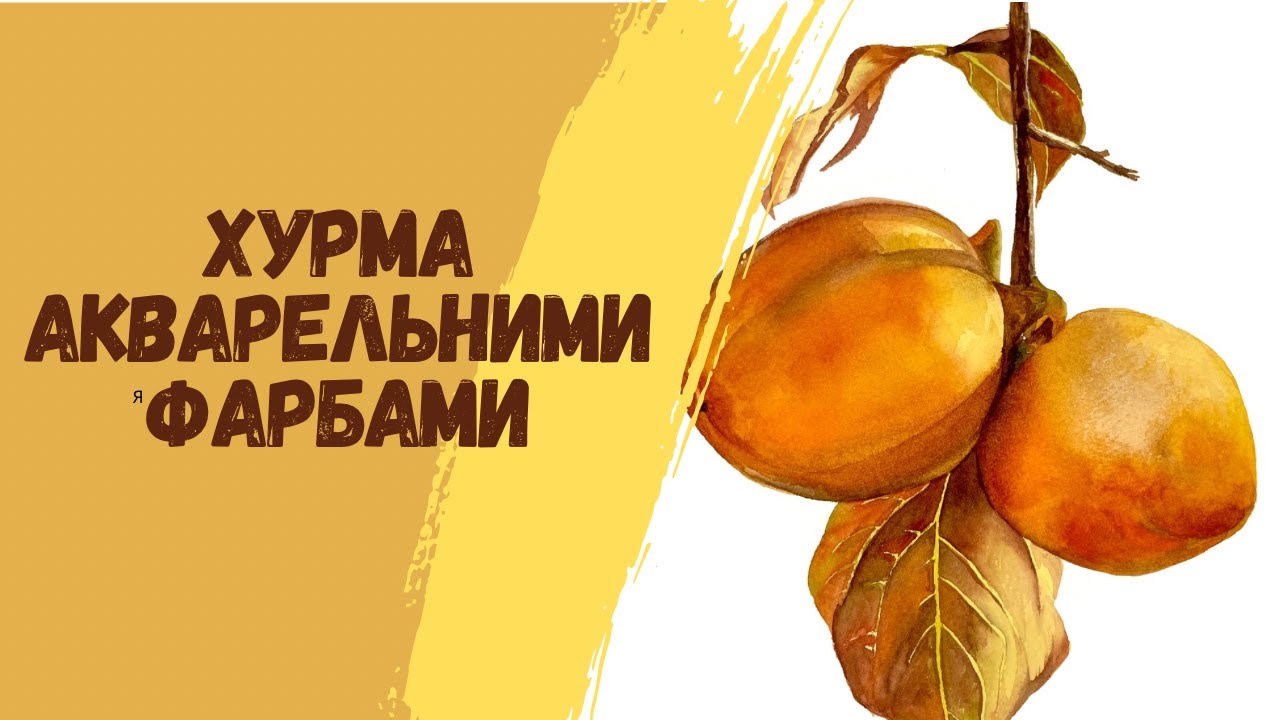 Як малювати хурму аквареллю: Покроковий майстер-клас| Давайте малювати |