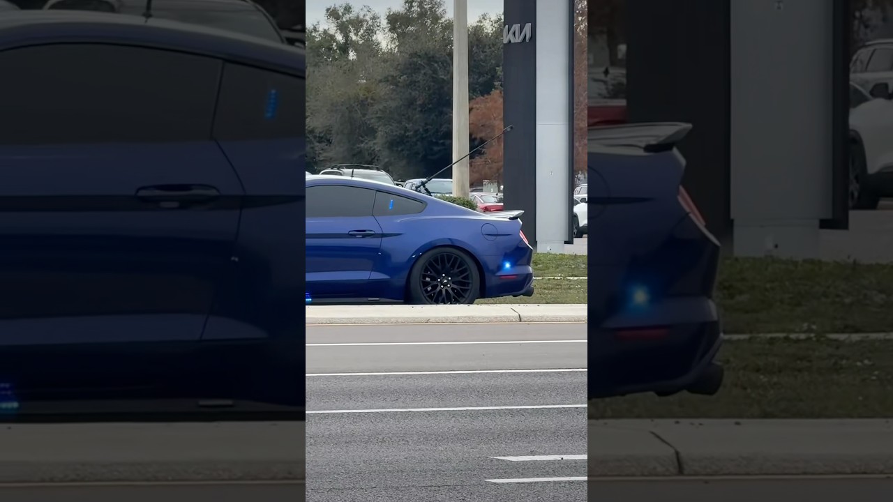 FHP rolling around with a 360° cam🔦 