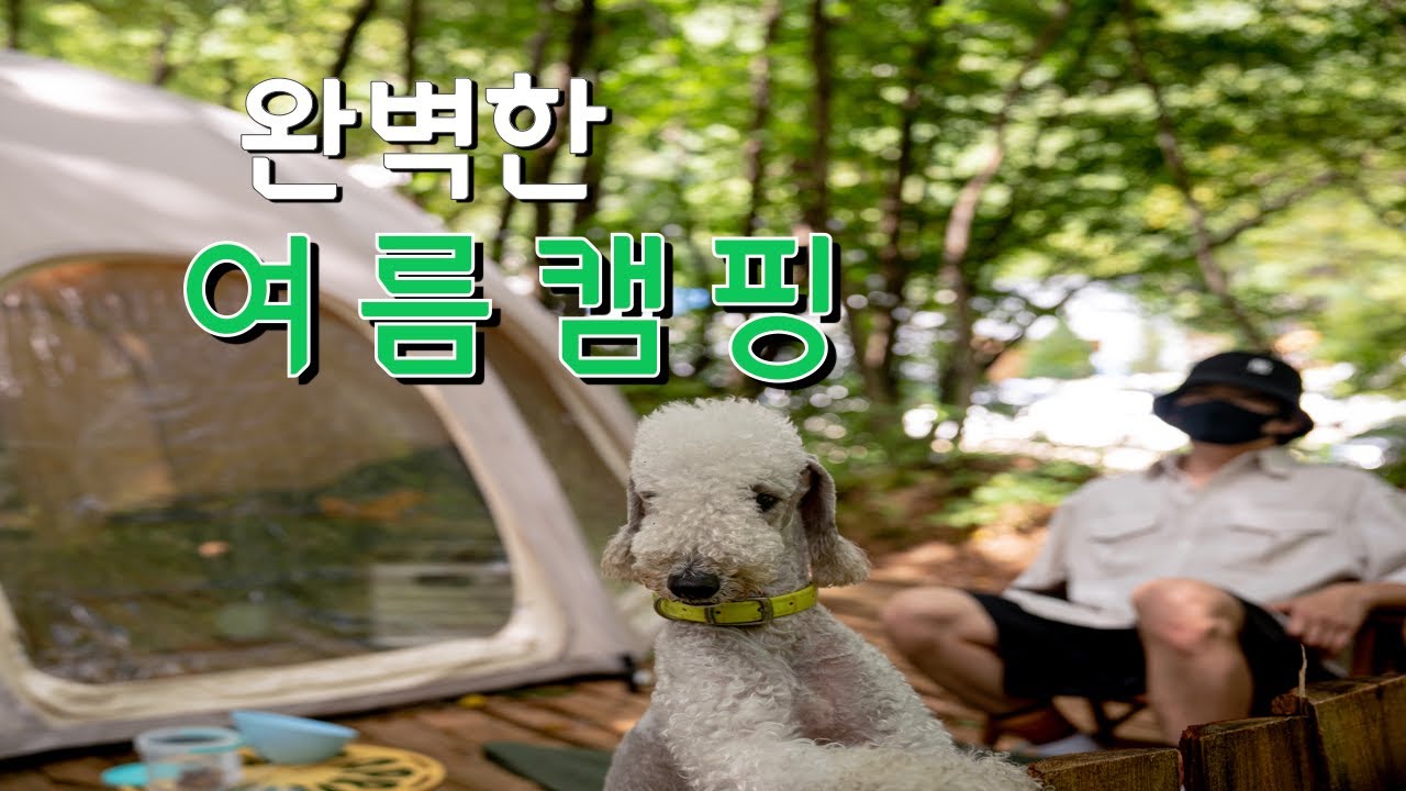 계곡 물소리가 가득한 숲 속에 밤새 내린 비까지, 완벽한 여름캠핑 그 자체
