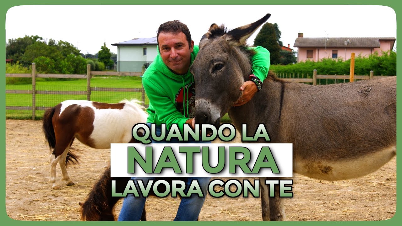 I lavoratori della fattoria: chi manda avanti la Fattoria Il Verde Mondo ogni giorno!
