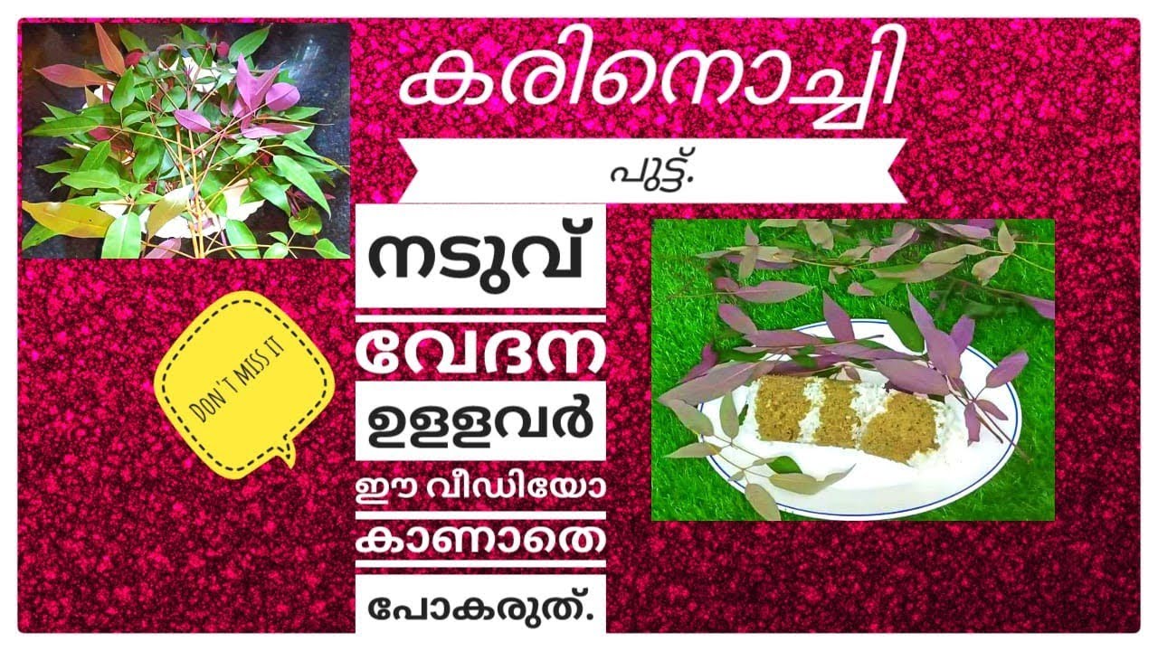 കരിനൊച്ചി പുട്ട്/സന്ധിവേദന,നടുവ് വേദന,നീര് ഇവയൊക്കെ മാറ്റുന്ന ദിവ്യ ഔഷധം/Karinochi Puttu/Saji's