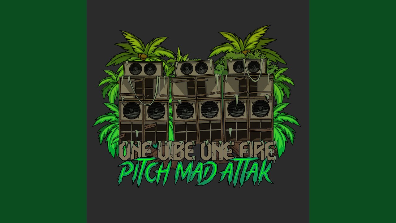 One vibe one fire