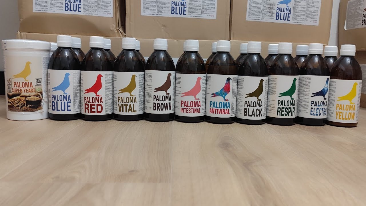 Wygraj gołębie - Paloma Blue - cudowne produkty