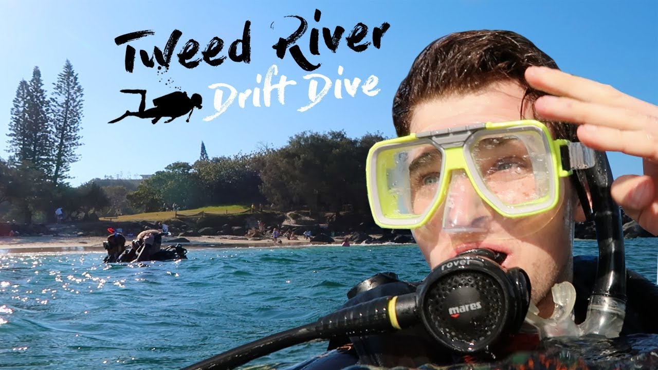 Tweed River Drift Dive - Tweed Heads, NSW - Australia