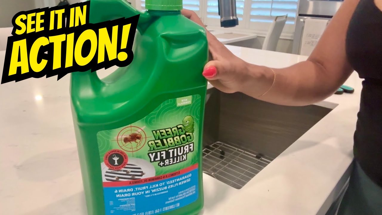 Full Demonstration For This Fruit Fly Solution!-Green Gobbler Fruit Fly Killer+ - Kills Fruit Flies,