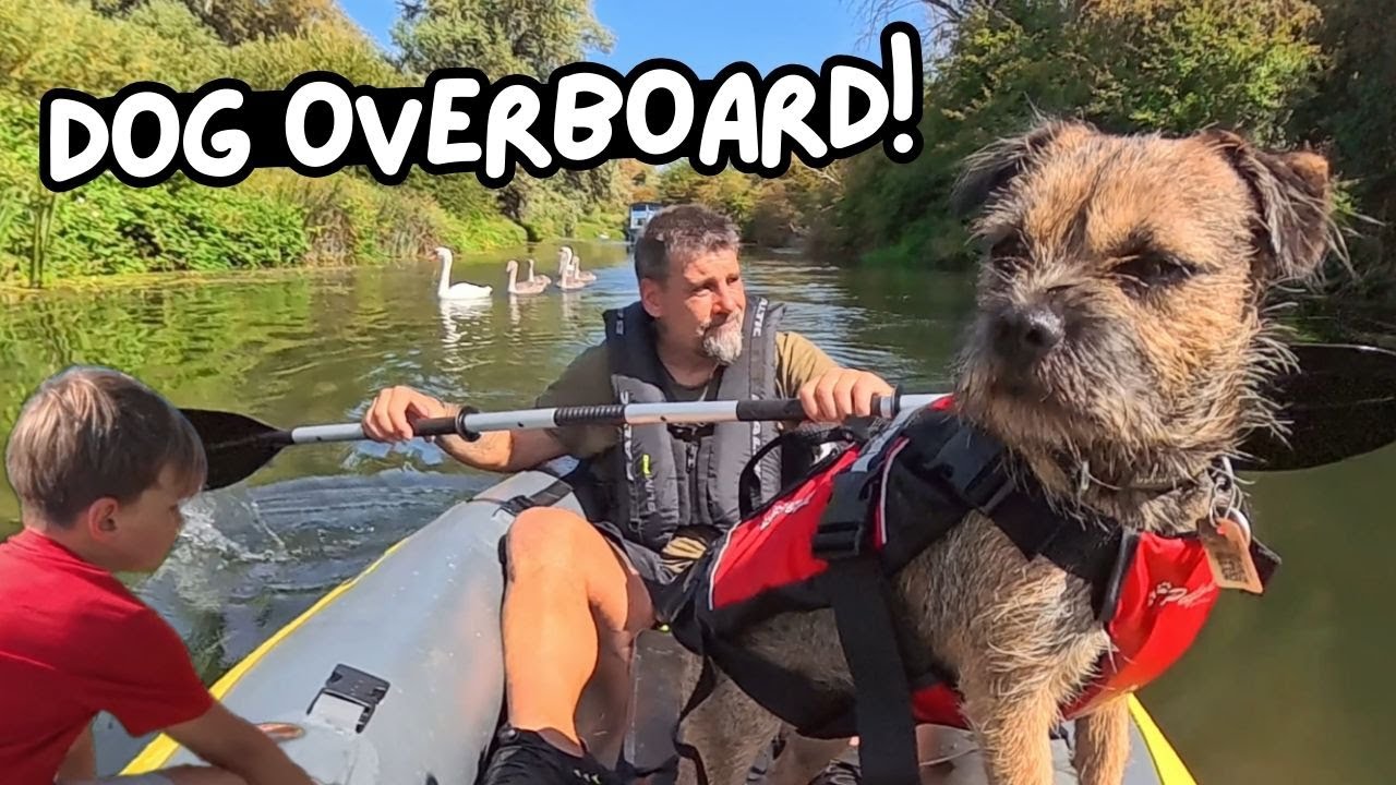 The BOY who SAVED the Day! Dog KAYAKING Adventure