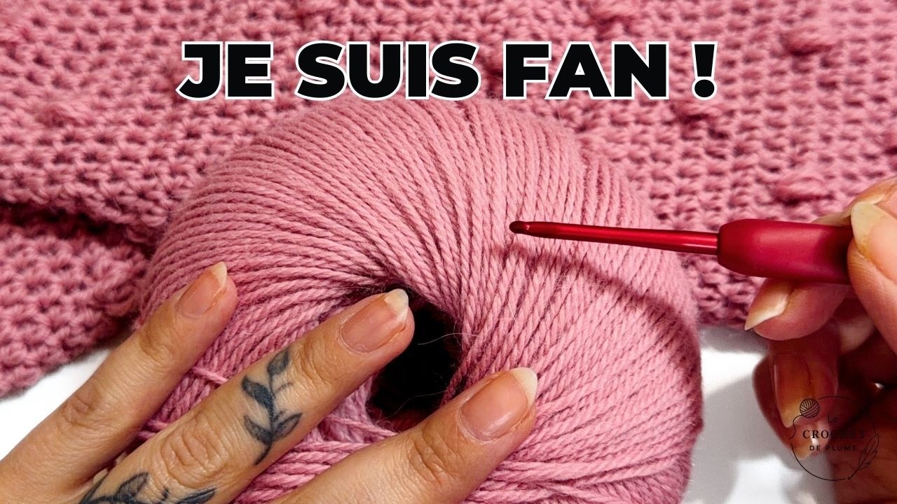 Ce modèle au crochet va vous rendre fou 🤯