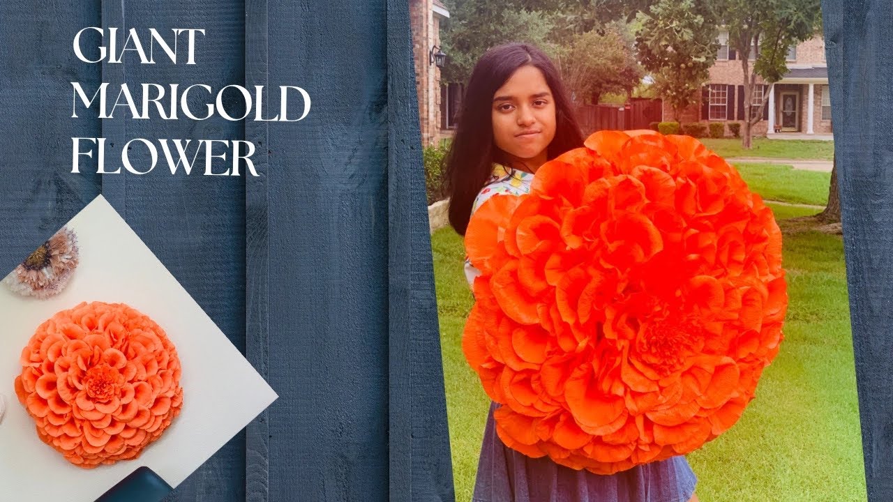 How to Make Giant Marigold Flower || Part 1 || Giant Paper Flower