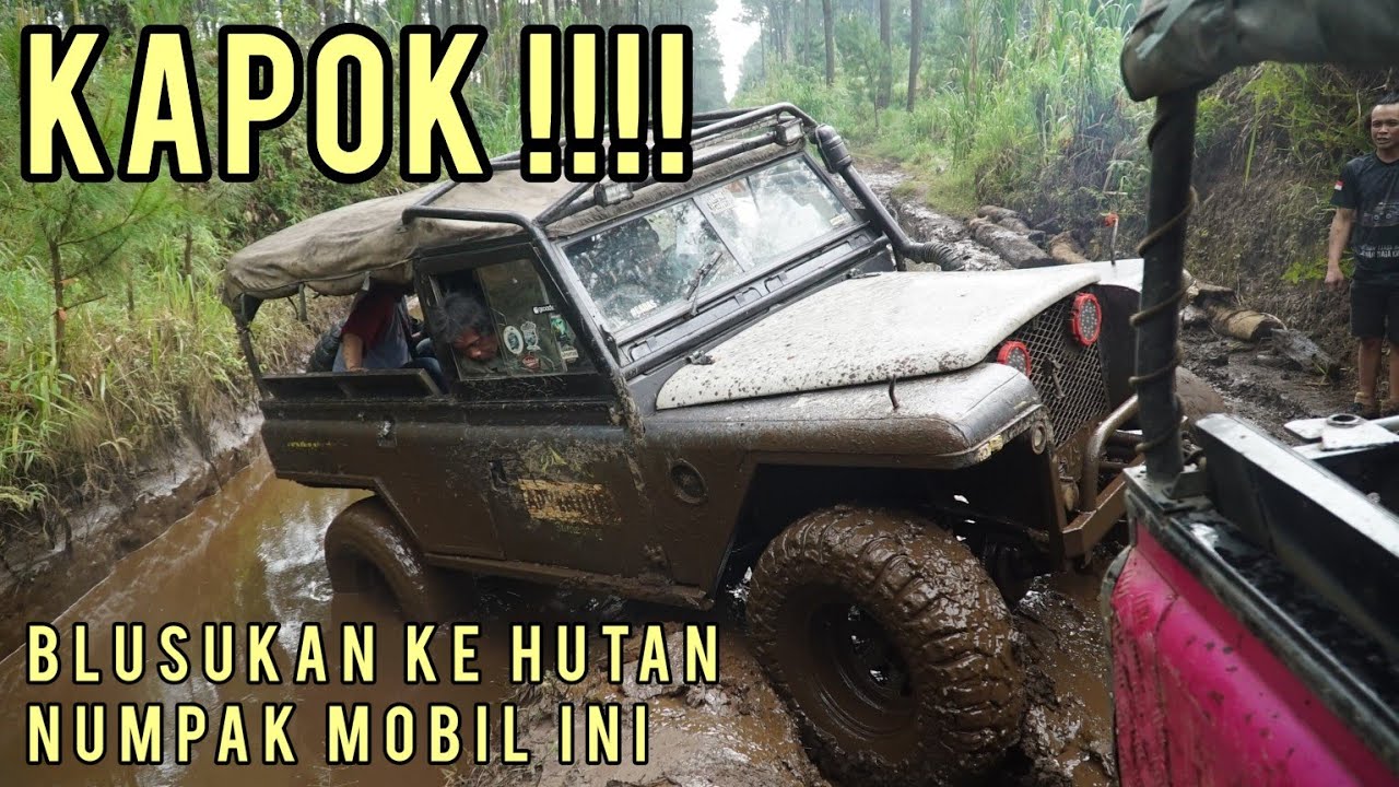 Off Road Blusukan ke Hutan Naik Land Rover‼️Cikole Lembang Bandung