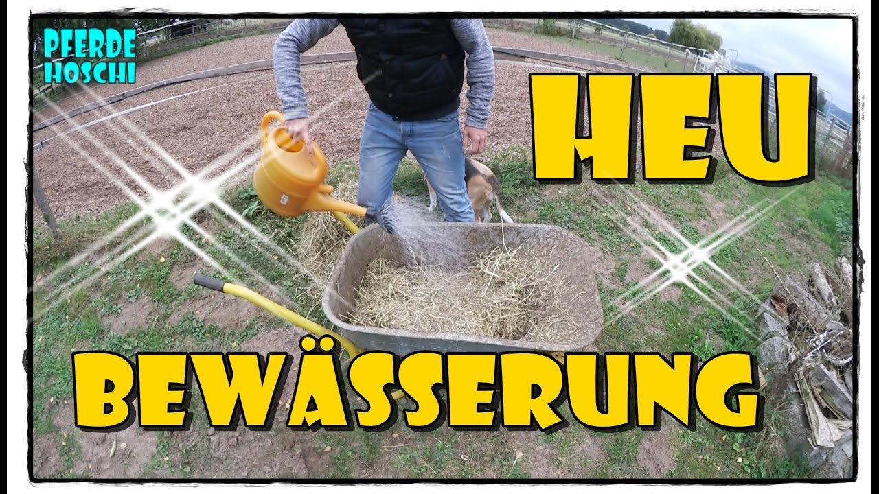 Heu Bewässerungs Maschine | Pferde Hoschi