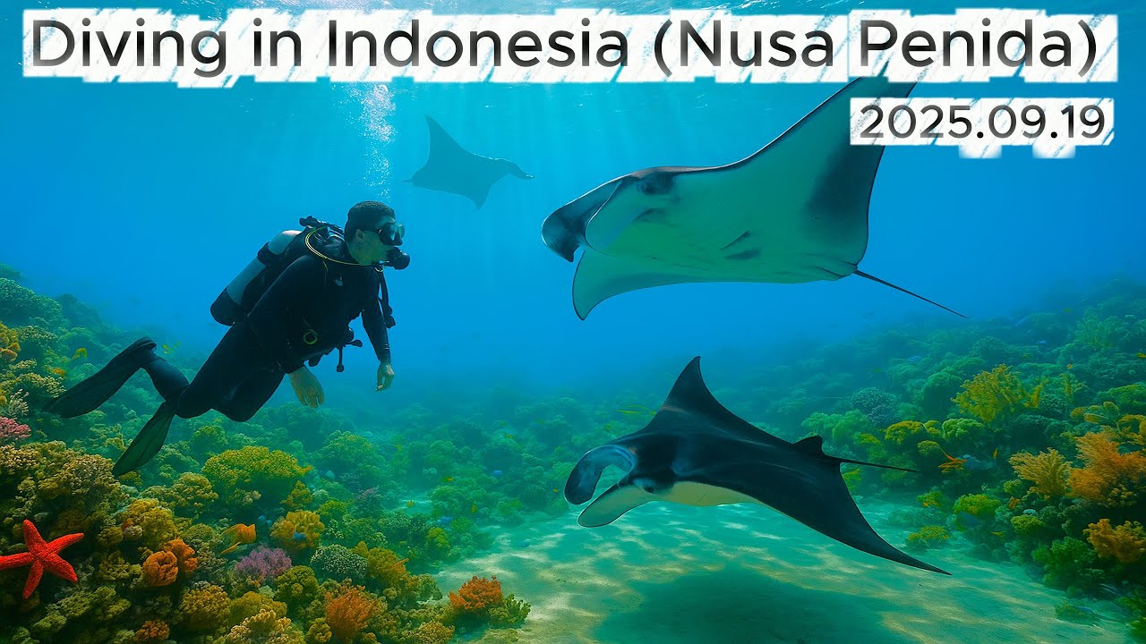 Diving with manta rays in Indonesia (Nusa Penida) [2025.09.19]