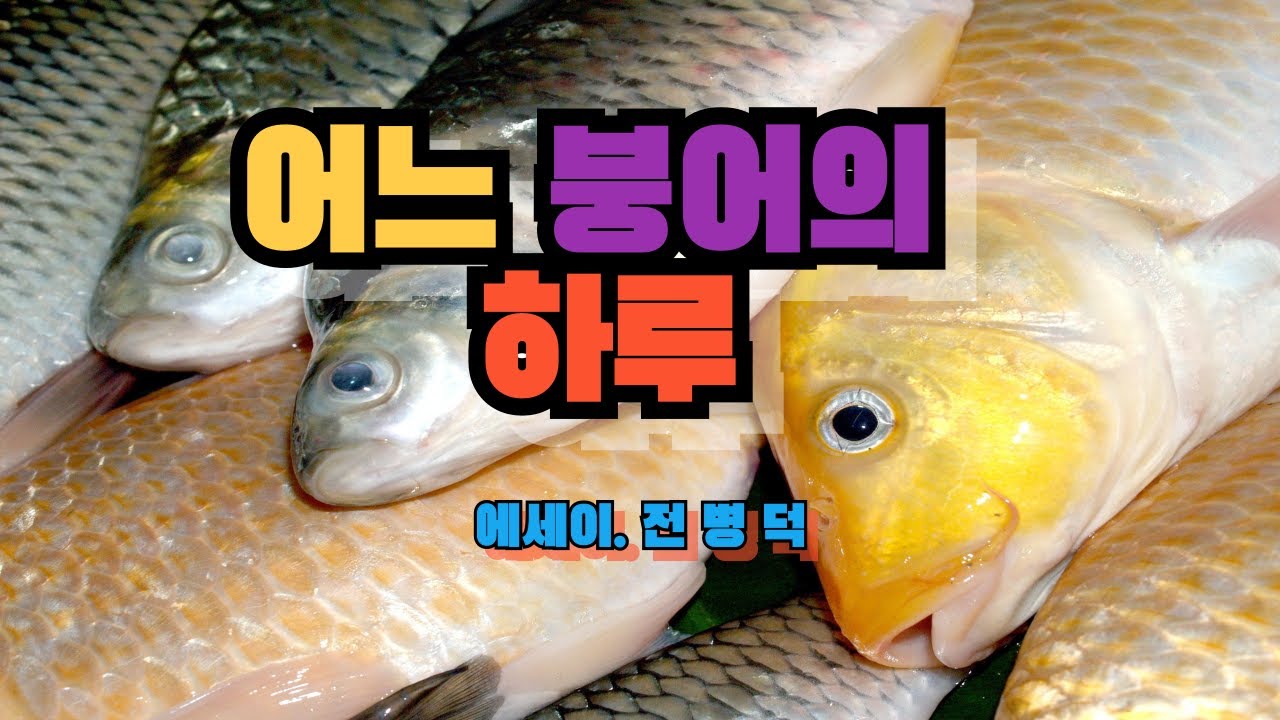 [어느 붕어의 하루] 에세이. 전병덕