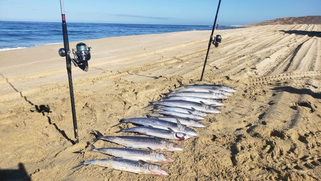 LOS CABOS, UN LUGAR PRIVILEGIADO PARA LA PESCA DE ORILLA