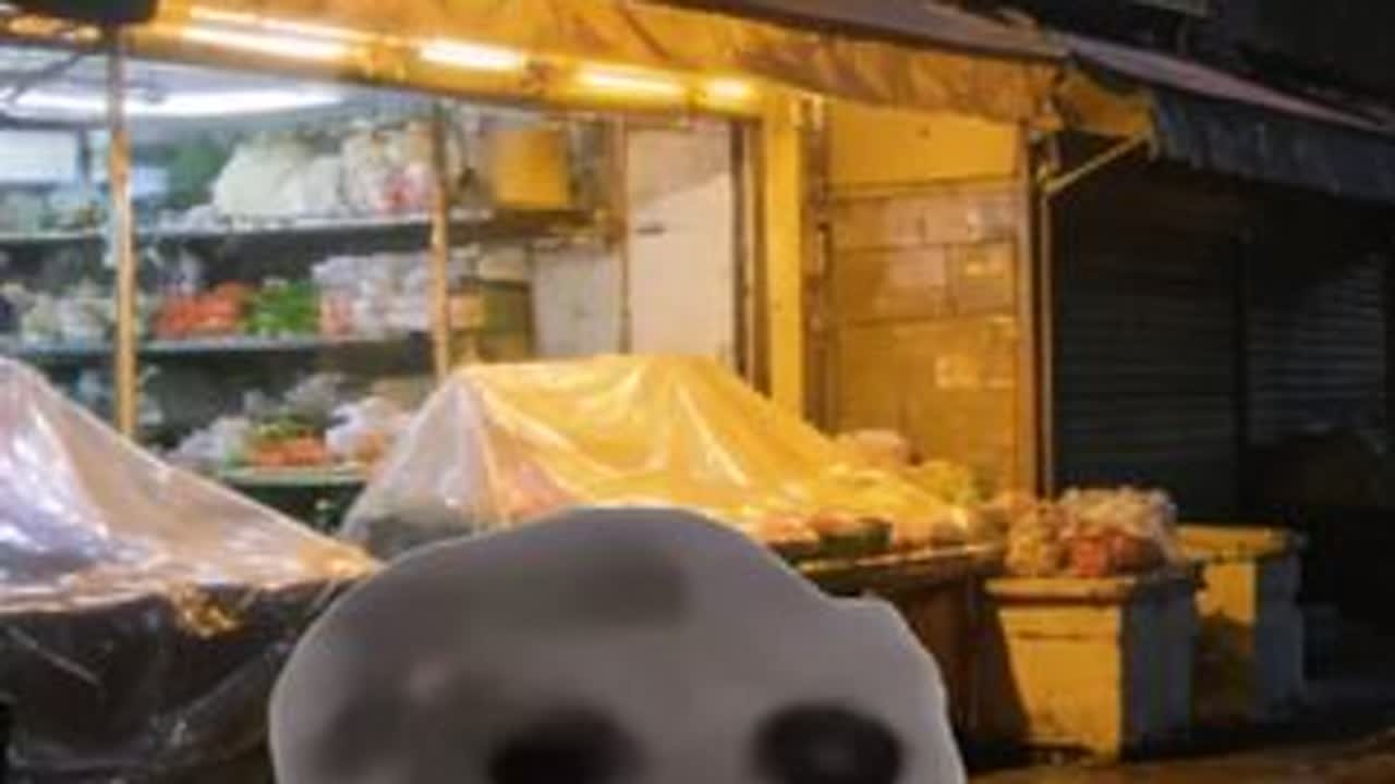 当爷爷在菜场门口直播唱歌时 