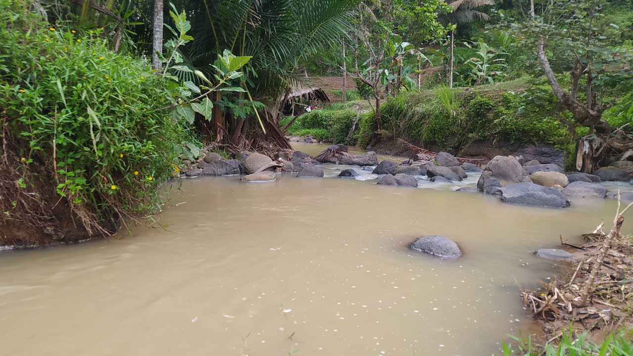 Mancing di sungai sehabis turun hujan🎣