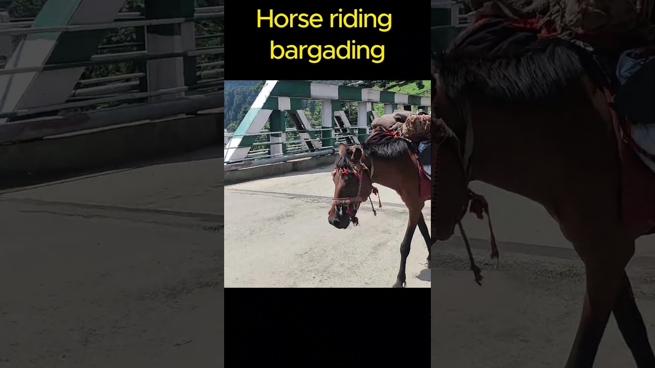 Horse Riding  Price Bargarding in Pahalgam #horsevideo #price #shortsfeed