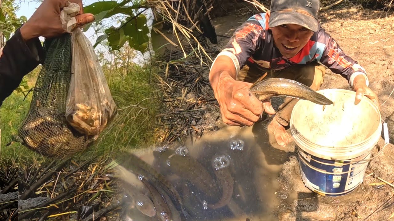 ដល់ខែរកត្រីហើយបងប្អូនបានច្រើនណាស់ January 15, 2026