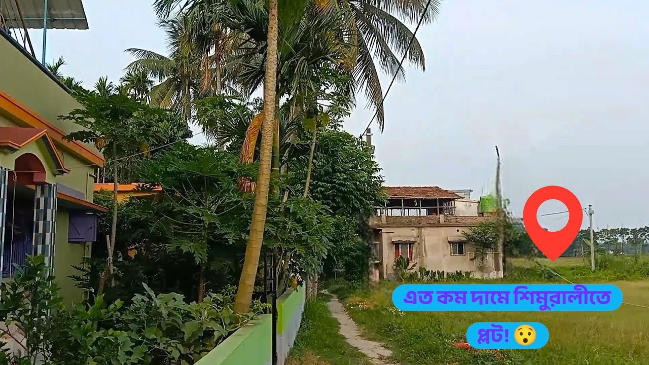 এত কম দামে শিমুরালি তে প্লট 😯!! | Propert near Chakdaha | Urgent Sell Real-Estate | #001