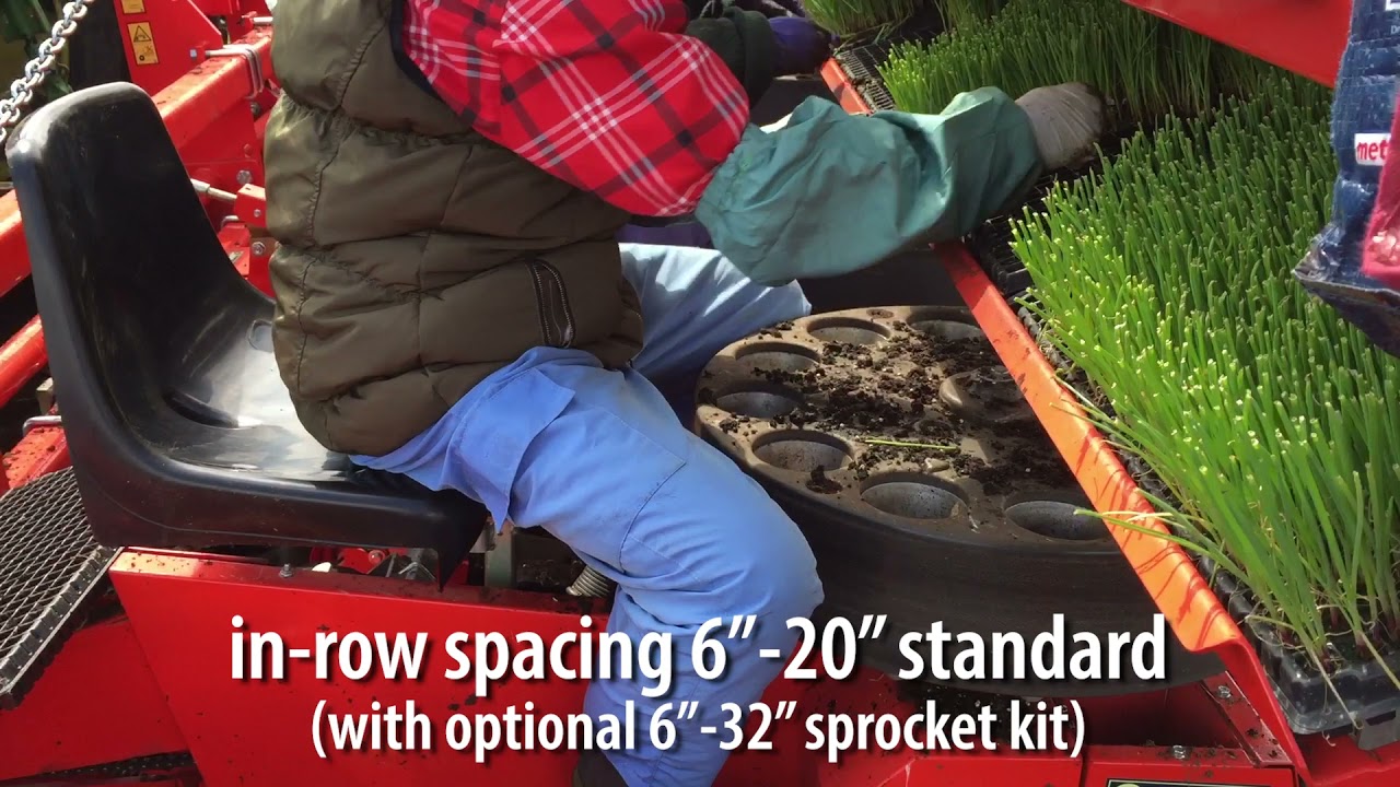C&M Dual 12 Gold-- The Checchi & Magli transplanter for vegetables where one person plants 2 rows!