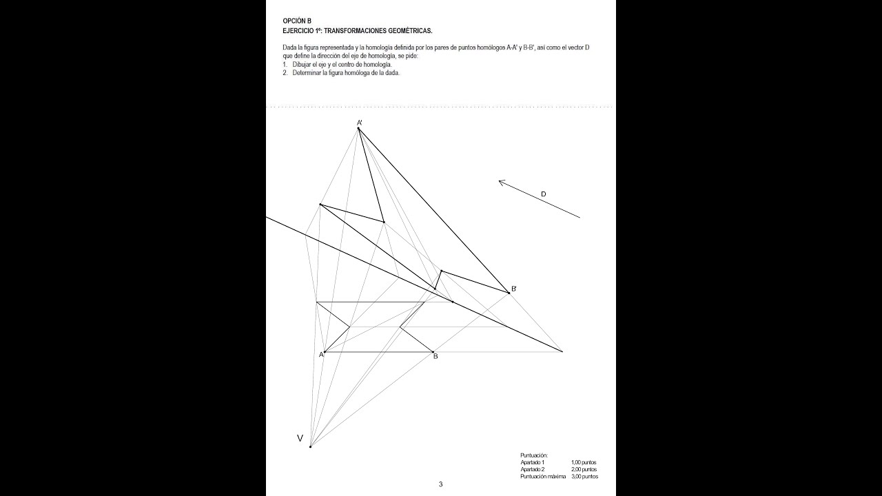 1º Bach DT Homología 07