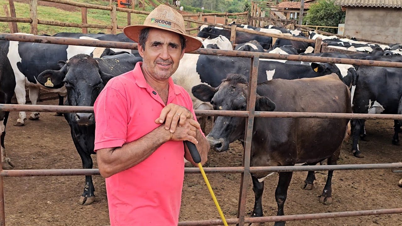 TIRANDO 50 LITROS DE LEITE HOJE EU SOBREVIVO?