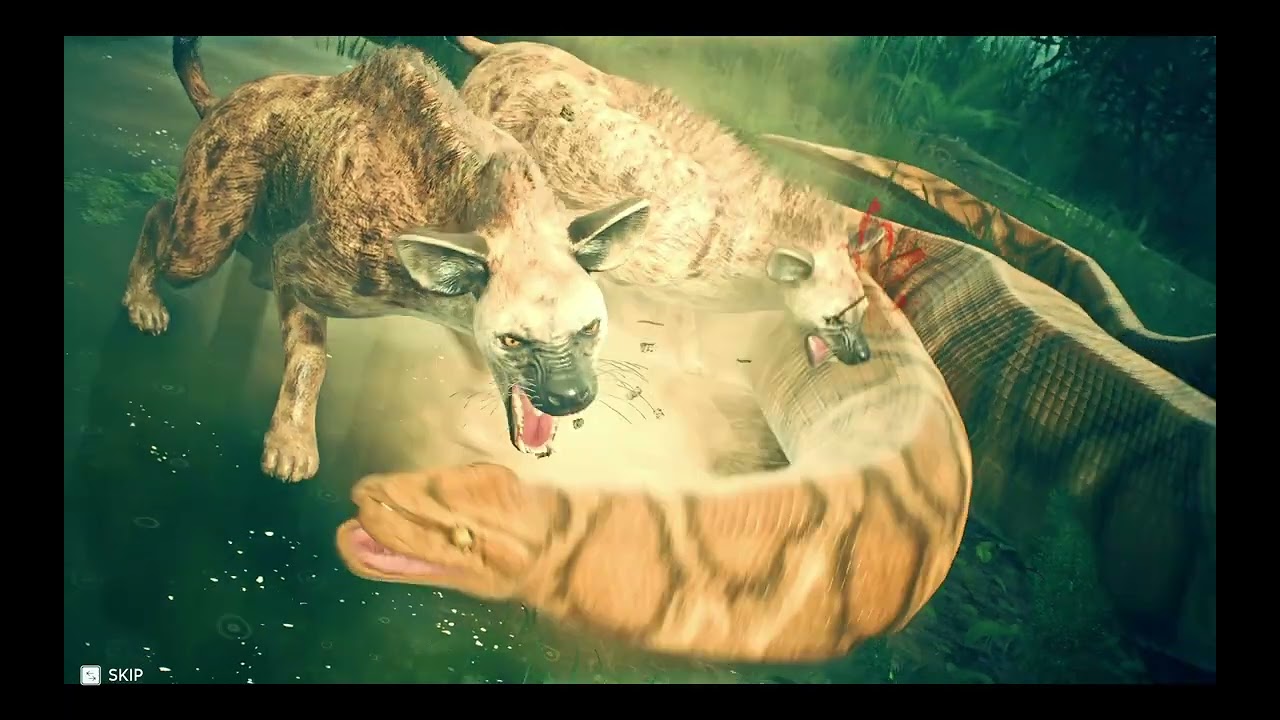 Hyena Kill African Rock Python 2k
