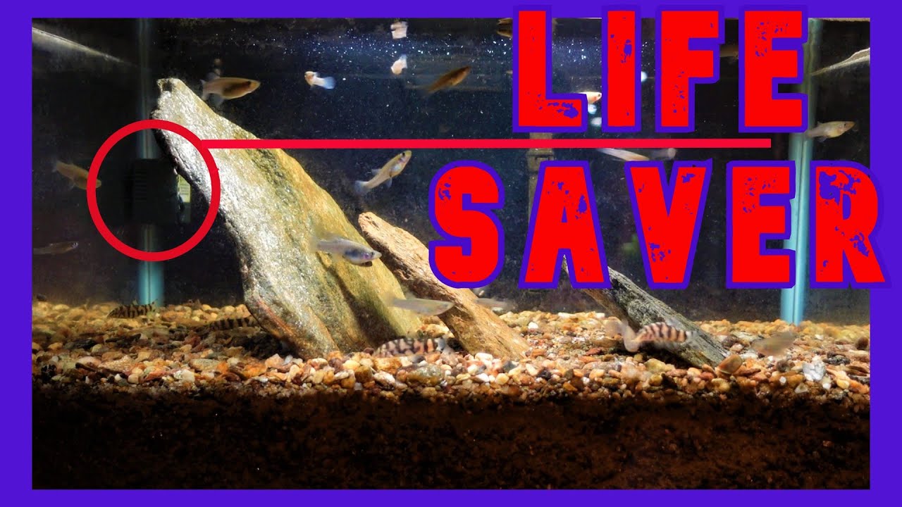 Redundancy Can Save Your Tank With Redundancy
