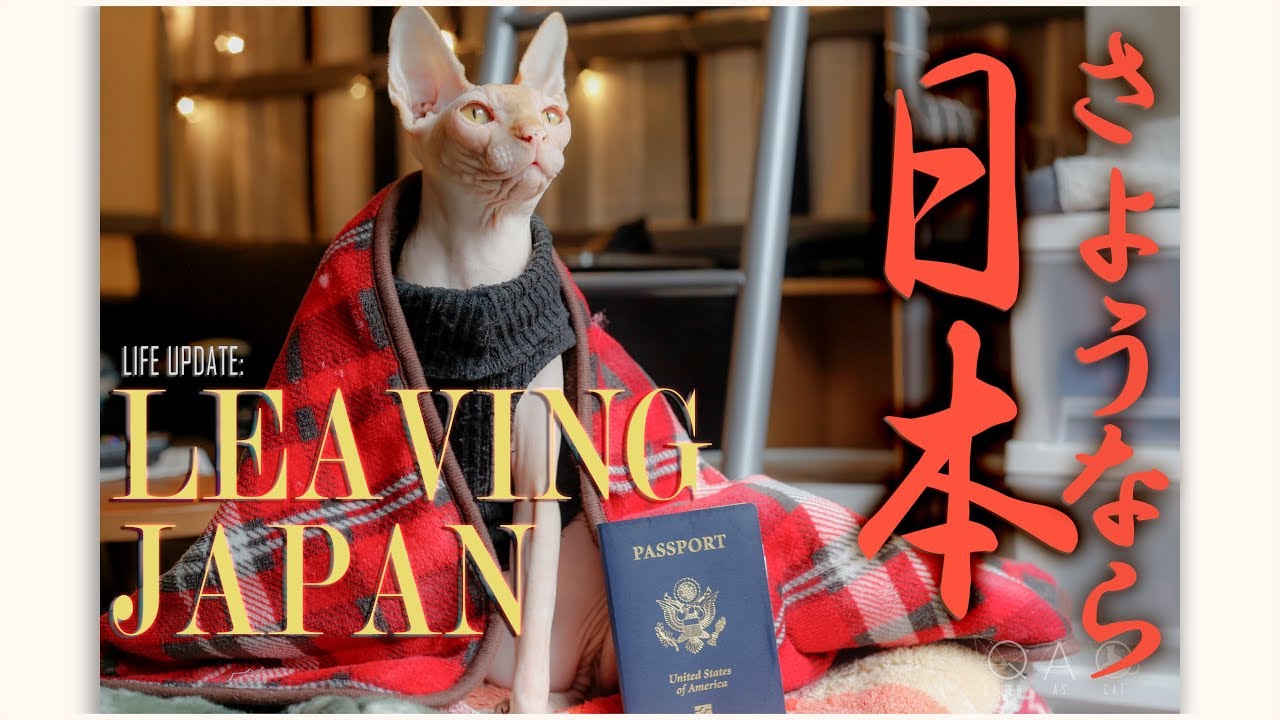 QAC 75.5 - Life Update: Leaving Japan?! | Legal Name Change | Goodbye Locs